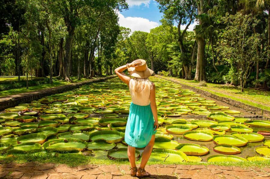 Mauritius: Private Full-Day Iconic Instagram Spots - Umbrella Square in Port Louis: color shade shopping with a purpose