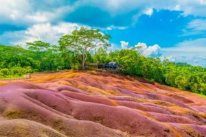 Mauritius: Private Full-Day Iconic Instagram Spots - Pamplemousses Botanical Garden and the Talipot Palm story you’ll remember