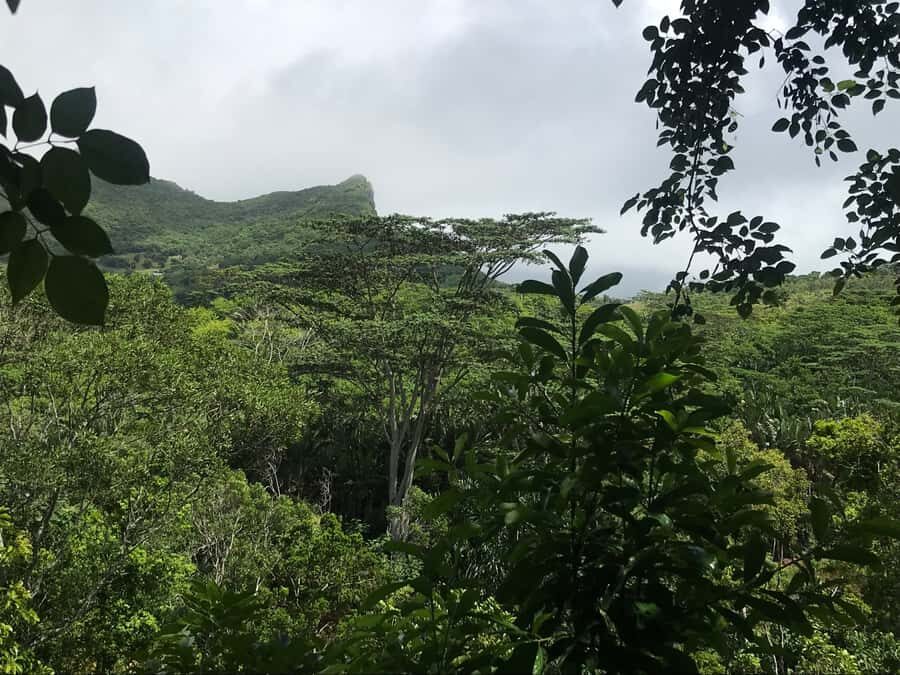 Mauritius: Private Full-Day Iconic Instagram Spots - Chamarel Falls: a big single-drop finale (and how to avoid the rush)