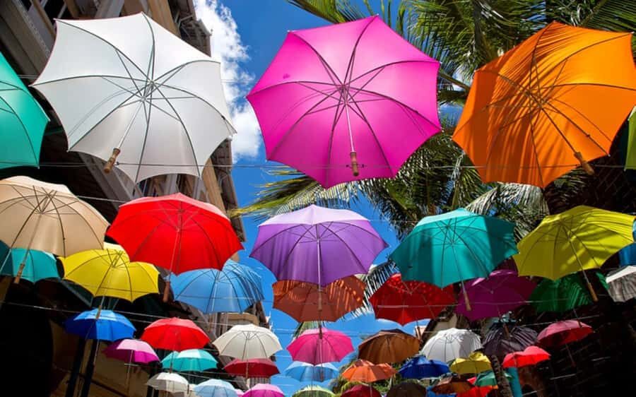 Mauritius: Private Full-Day Iconic Instagram Spots - The guide and car: what keeps showing up in the best days