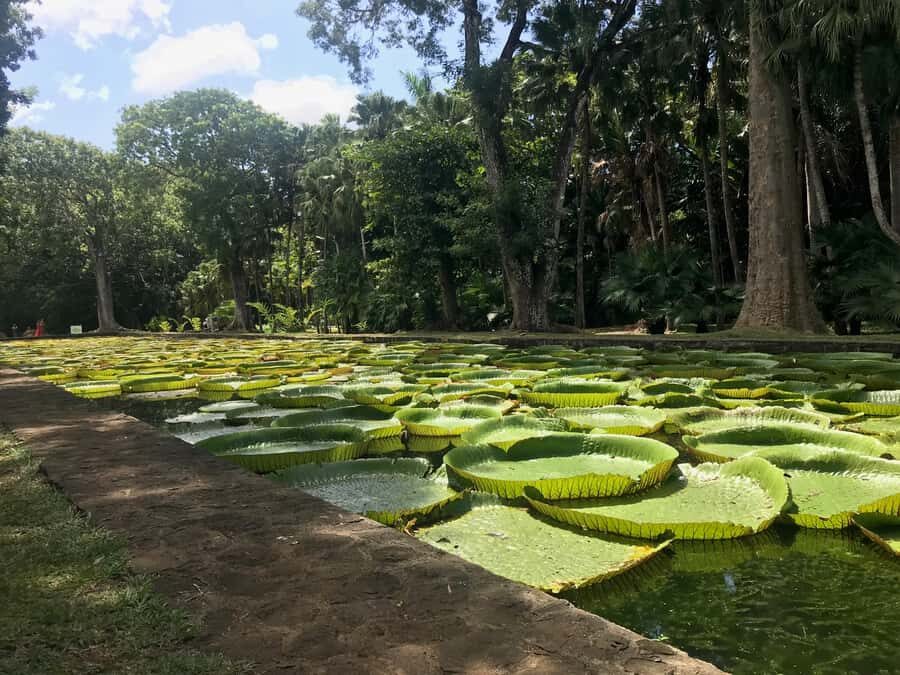Mauritius: Private Full-Day Iconic Instagram Spots - Price and value: why $135 can make sense for an 8-hour private day