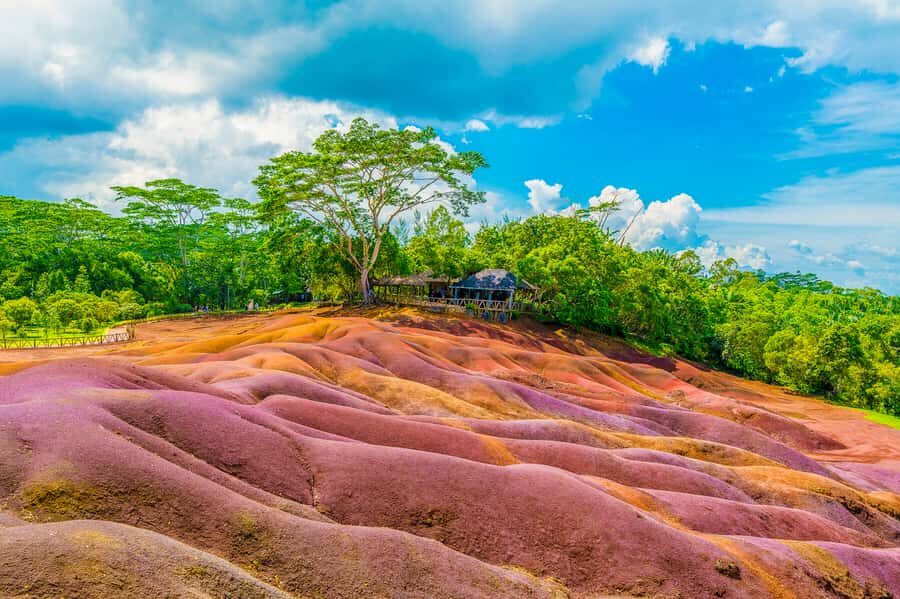 Mauritius: Private Full-Day Iconic Instagram Spots - Pamplemousses Botanical Garden and the Talipot Palm story you’ll remember