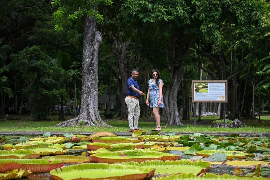 Mauritius: Private Full-Day North Mauritius Tour - A private north Mauritius day you can actually shape