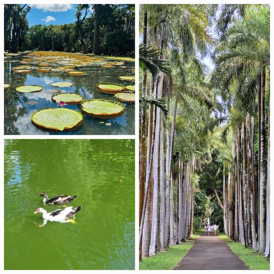 Mauritius: Private Full-Day North Tours - Key things you’ll like about this Mauritius private day
