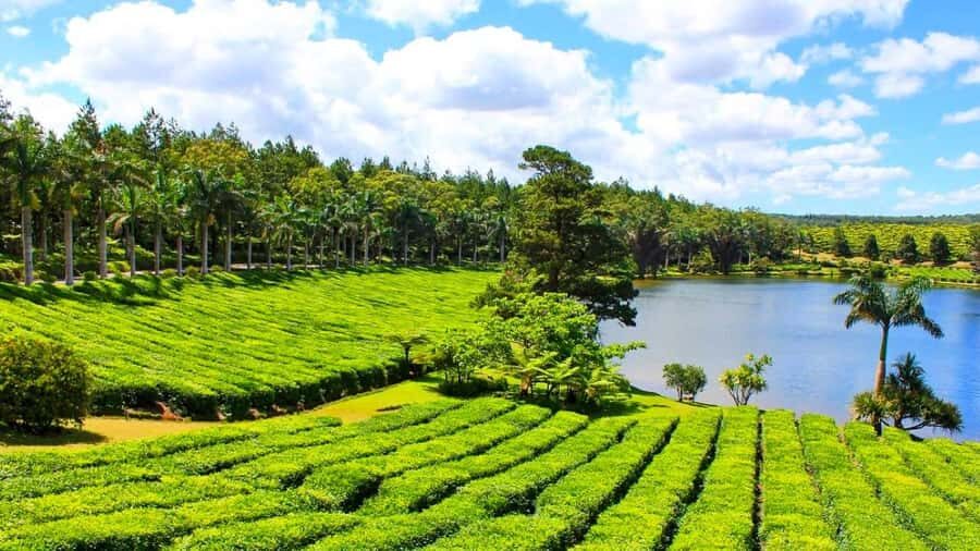 Mauritius: Private Full-Day South Mauritius Tour - Private South Mauritius, step-by-step: how the day flows