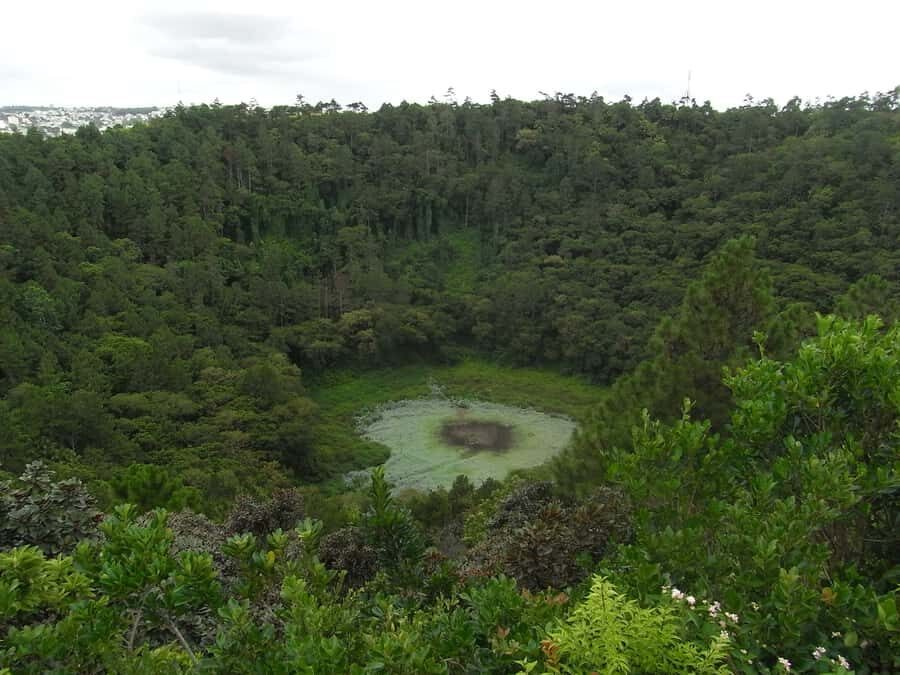 Mauritius: Private Full Day Tour with Entry Tickets & Lunch - Mare aux Vacoas Reservoir: the inland Mauritius people rely on