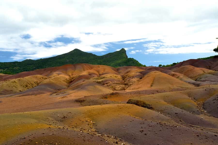 Mauritius: Private Full Day Tour with Entry Tickets & Lunch - Plaine Champagne Forest Area: cooler air and protected nature