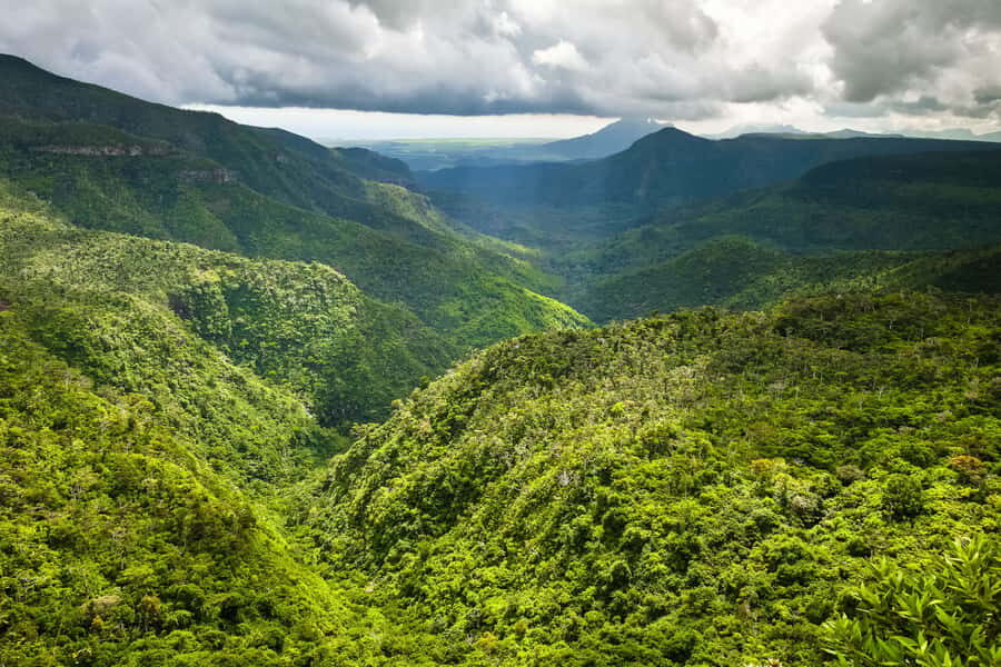 Mauritius: Private Full Day Tour with Entry Tickets & Lunch - Trou aux Cerfs crater: Central Plateau views that set the tone