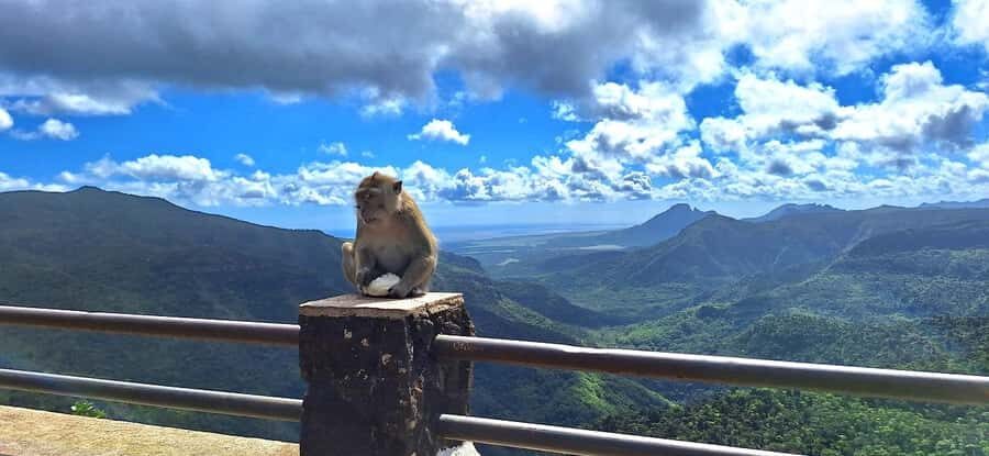 Mauritius: Private South Day Tour with Hotel Transfer - Grand Bassin Temple: spirituality, crater lake views, and dress rules