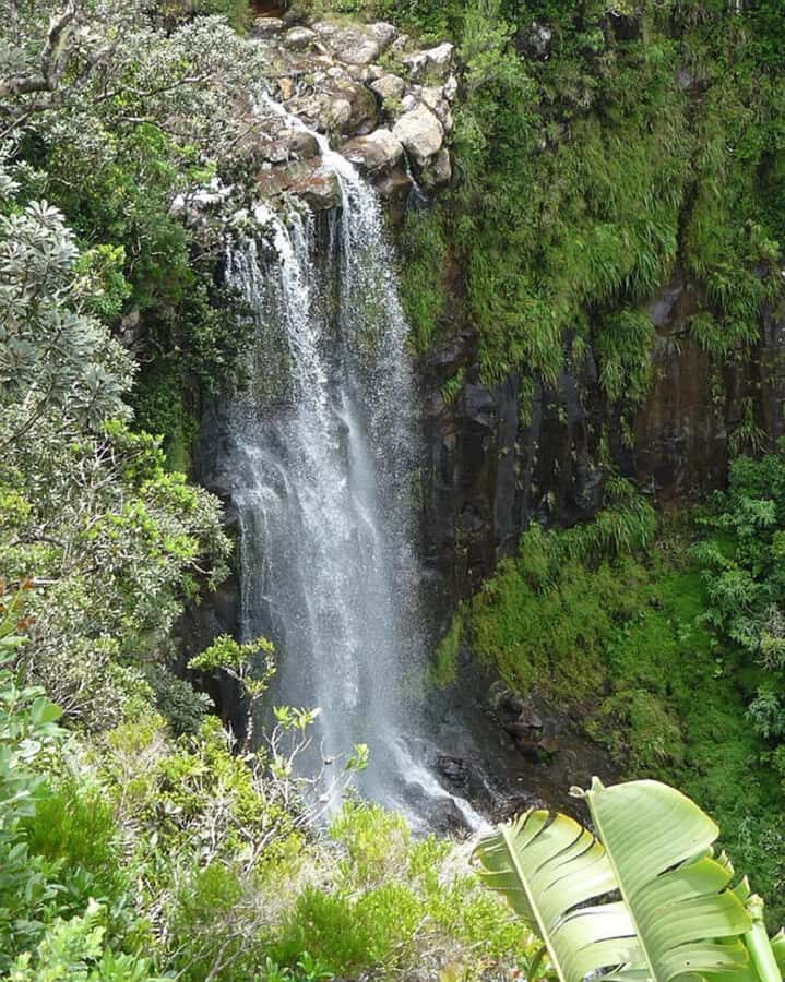 Mauritius: Private South Day Tour with Hotel Transfer - Black River Gorges viewpoint: the photo stop that feels like a pause button