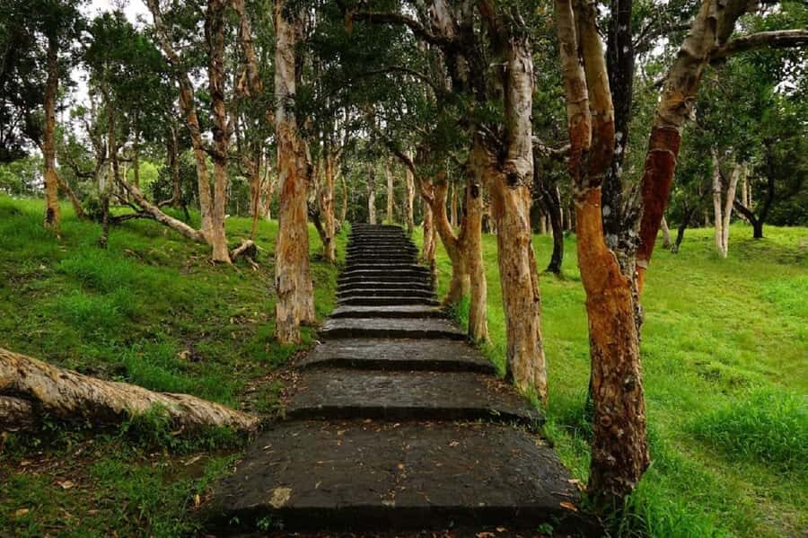 Mauritius: Private South Day Tour with Hotel Transfer - Rhumerie de Chamarel: rum tasting with a factory-visit twist