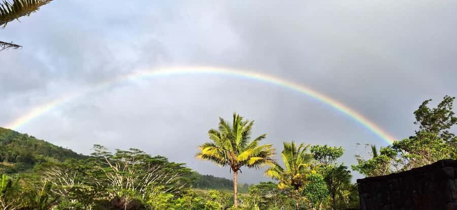 Mauritius: Private South Day Tour with Hotel Transfer - Timing, pacing, and what the day feels like