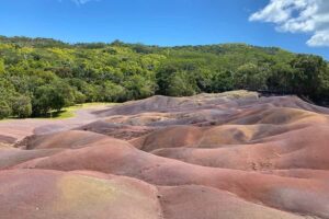 Mauritius: Private South-West Nature & Viewpoints with Lunch - Pickup at 9:30 and how you’ll actually use the day