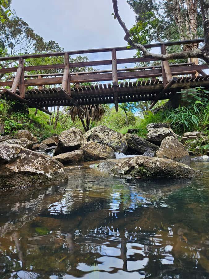Mauritius: Private Southwest Chamarel Highlights Tour - Rhumerie de Chamarel rum stop: optional, but a fun extra