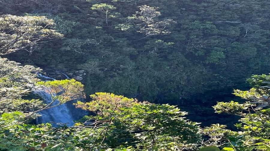 Mauritius: private southwest tour - Grand Bassin and Ganga Talao: a Hindu temple inside a crater lake