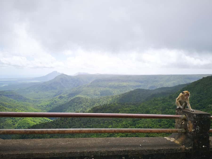 Mauritius: Private Southwest Tour with Pickup - Time on the Clock: How a 7-Hour Day Actually Works