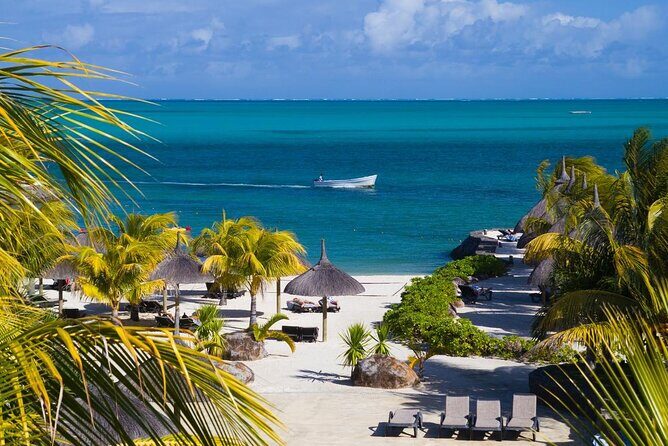 Mauritius Private Transfers: Airport and Ground Services - Booking Rhythm: From Online Details to Mobile Ticket