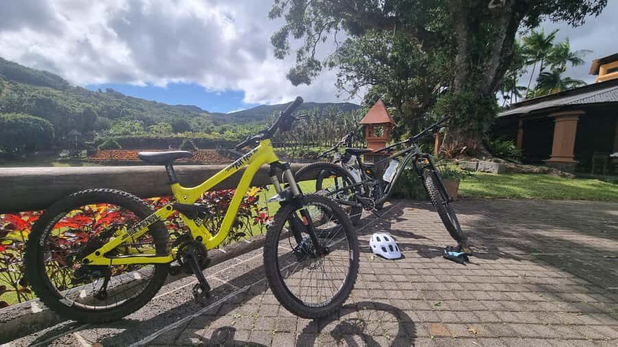 Mauritius: Scenic Bike Trails with Gear & Shuttle - When the day slows down: rest zones, Rider’s Café, and wildlife
