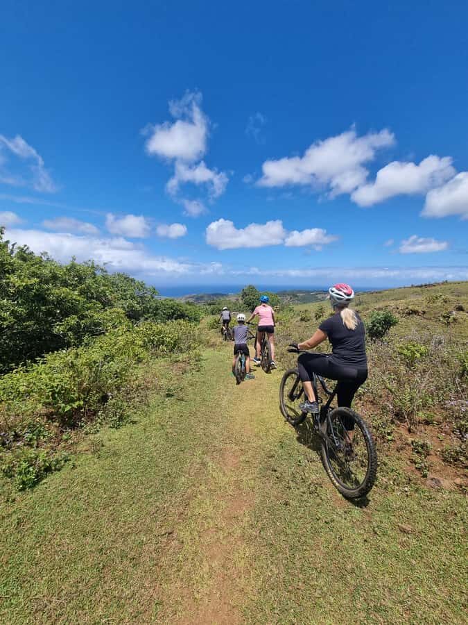 Mauritius: Scenic Bike Trails with Gear & Shuttle - Who Mo’Bike is best for (and who should skip it)