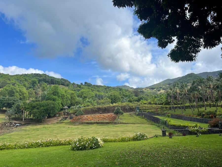 Mauritius: Scenic Bike Trails with Gear & Shuttle - Your bike setup: full-suspension, gloves, and a quick skill check