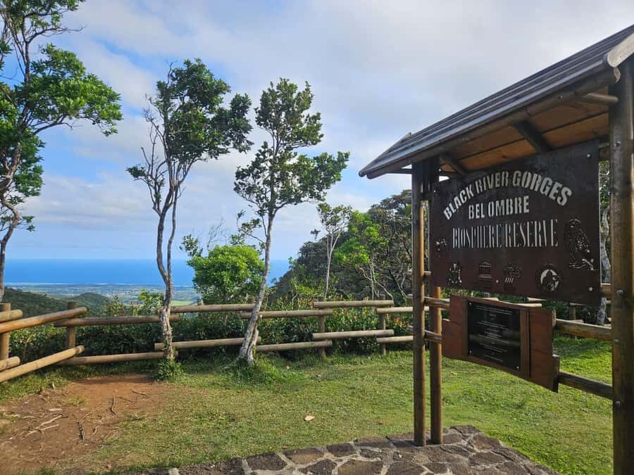 Mauritius: Sights of the South Private Tour with Rum Tasting - Mare aux Vacoas: the calm reservoir break you’ll appreciate