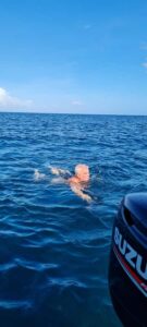 Mauritius: Snorkel and Swim with Dolphins on Speedboat Tour - Meeting on the beach: the briefing that sets expectations