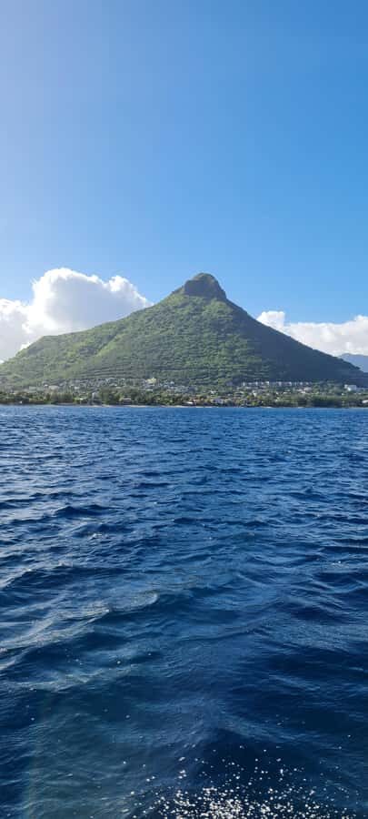 Mauritius: Snorkel and Swim with Dolphins on Speedboat Tour - Dolphin watching and swimming: what actually happens in the water
