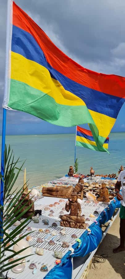 Mauritius: Snorkel and Swim with Dolphins on Speedboat Tour - Practical tips to get the most from your swim