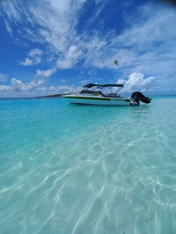 Mauritius: Snorkeling with turtles Le Transporteur speedboat - Key Things That Make This Turtle Snorkel Worth Your Time