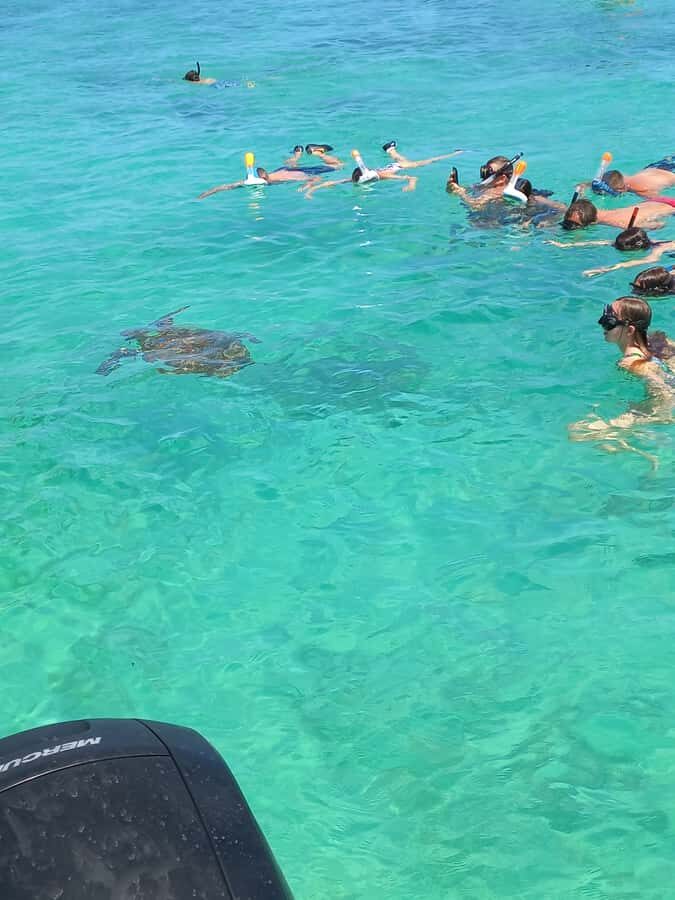 Mauritius: Snorkeling with turtles Le Transporteur speedboat - The Lagoon Experience: What You’ll Do While Looking for Turtles