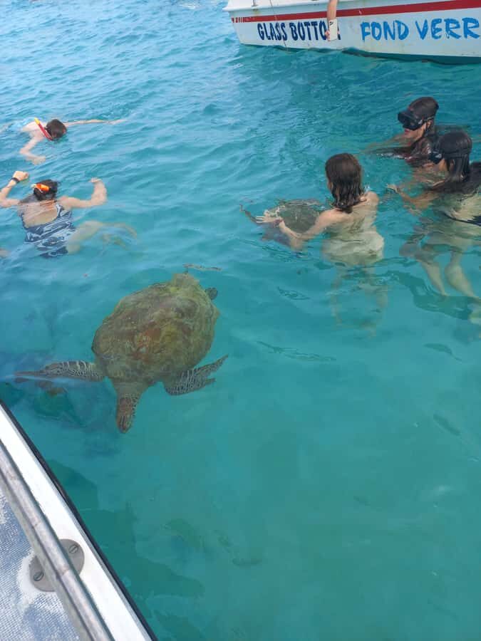 Mauritius: Snorkeling with turtles Le Transporteur speedboat - Speedboat to Trou aux Biches: Short Ride, Real Time in the Water