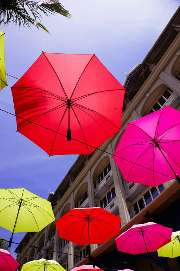 Mauritius: Snorkeling with Turtles & Port Louis Street Food - The boat ride from Trou aux Biches: short, fun, and practical