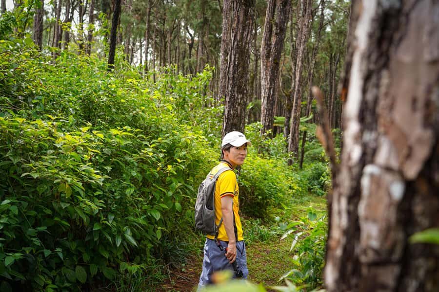 Mauritius: Sunrise Mountain Hike with Southwest Road-trip - Sunrise hike first, so the views actually feel like yours