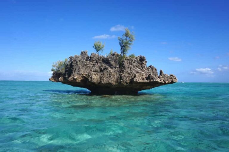 Mauritius: Swim with Dolphins Full-Day with Lunch/Drinks - Meeting at La Preneuse (La Tour Martello) and the Light Breakfast