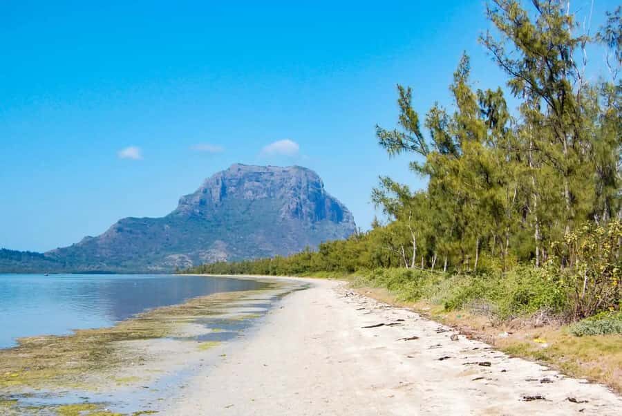 Mauritius: Swim with Dolphins Full-Day with Lunch/Drinks - Price and Value: Is $96 Fair for This Mix?