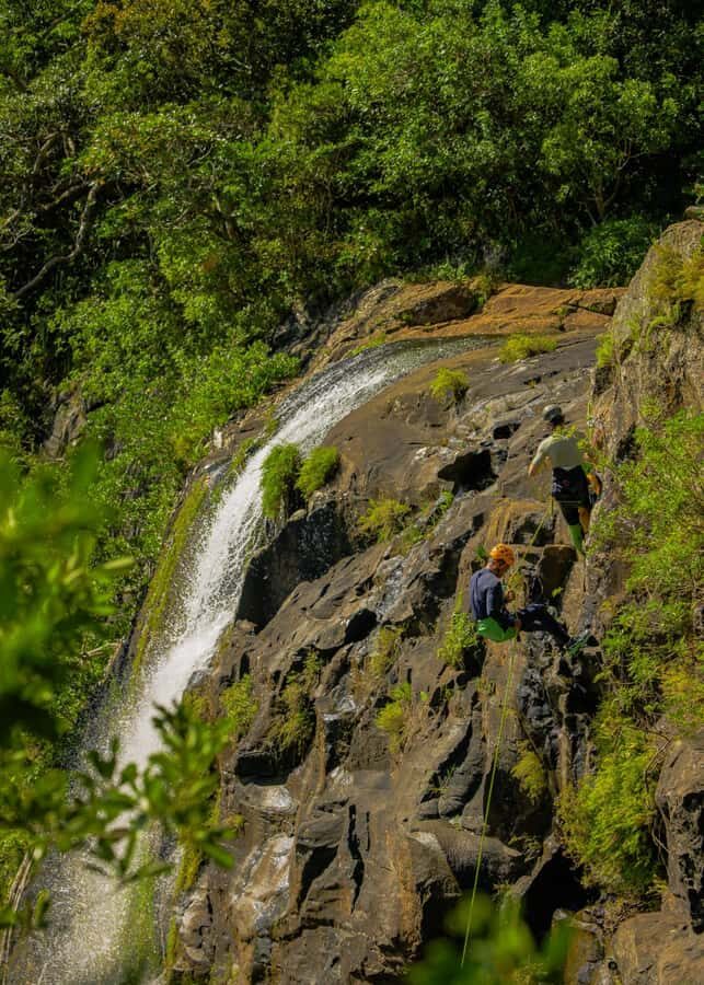 Mauritius: Tamarind Falls Canyoning Adventure - Price and value: is $88 a smart spend?