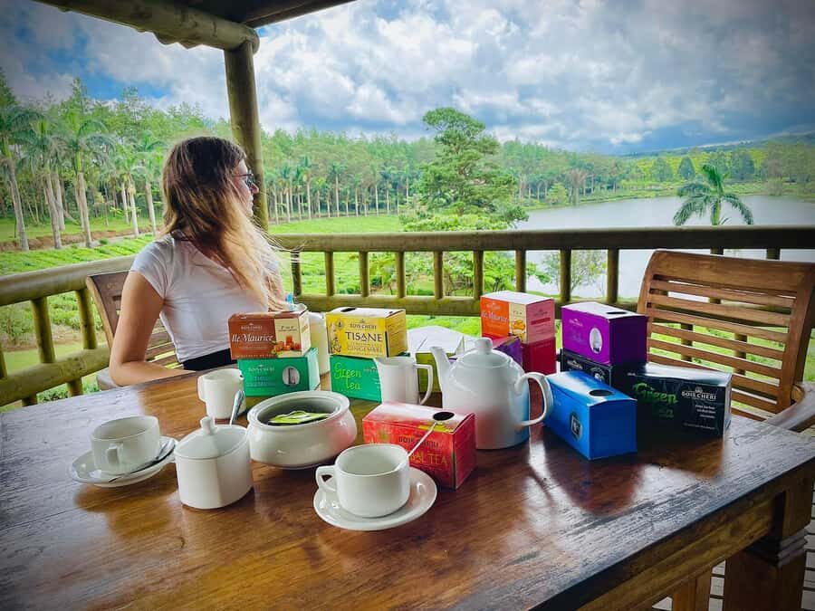 Mauritius: Tea, Rum and Vanilla Route with Lunch and Pickup - Why This Tea, Rum and Vanilla Route Works