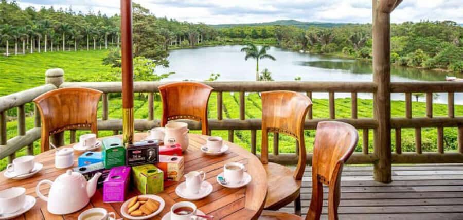 Mauritius: Tea, Rum and Vanilla Route with Lunch and Pickup - Timing, Transport, and How to Plan Your Day