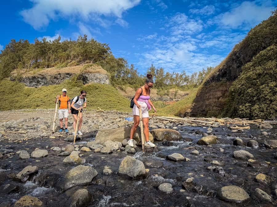 Mauritius: The Wild South Hiking Tour with a Guide - Filao forest walks and learning the island’s plant life
