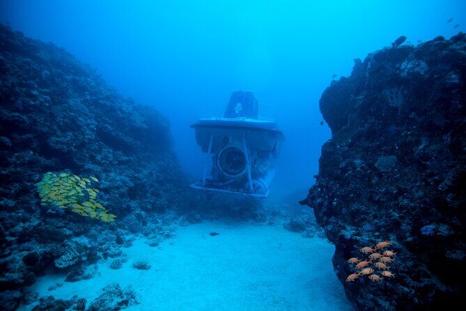 Mauritius Unique Submarine Tour - Quick Hits: What makes this Mauritius submarine tour worth your time