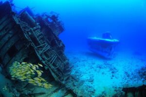 Mauritius Unique Submarine Tour - The small-group advantage: Max 10 guests means more than comfort