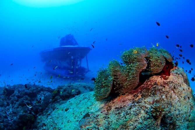 Mauritius Unique Submarine Tour - The 2-hour schedule: What you get for your time