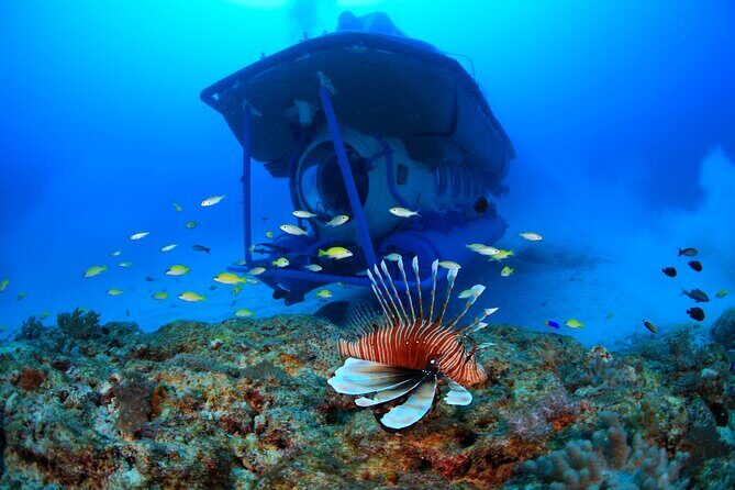 Mauritius Unique Submarine Tour - Getting on and off: The smooth parts you’ll notice most