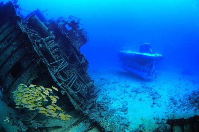 Mauritius Unique Submarine Tour - The small-group advantage: Max 10 guests means more than comfort