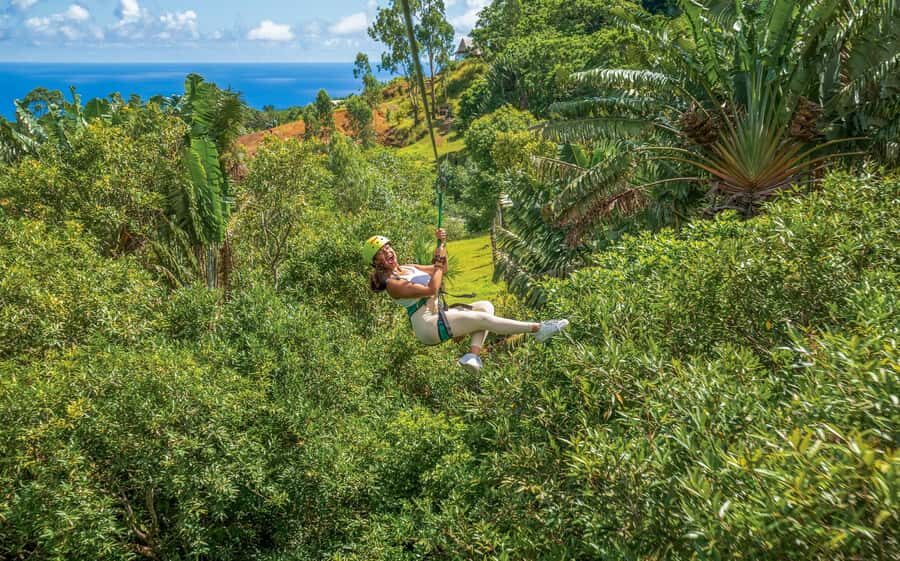 Mauritius: Vallé Advenature Park - Adventure Tour Zipline - Viewpoints, Dense Forest, and Southern-Coast-Style Scenery