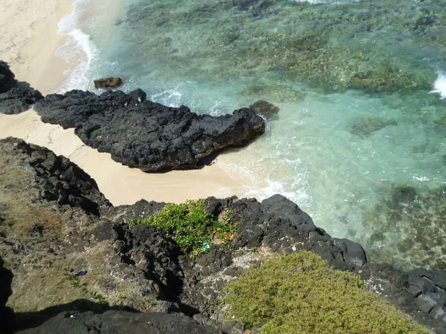 Mauritius: Vanilla Park & Beaches Tour with Extra Option - La Vanille Nature Crocodile Park: Nile crocodiles and Domino the 275-kg tortoise