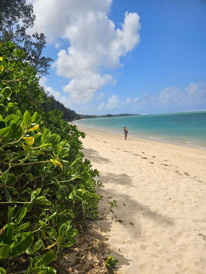 Mauritius: Vanilla Park & Beaches Tour with Extra Option - Price and value: $135 per group up to 3 plus two ticket extras