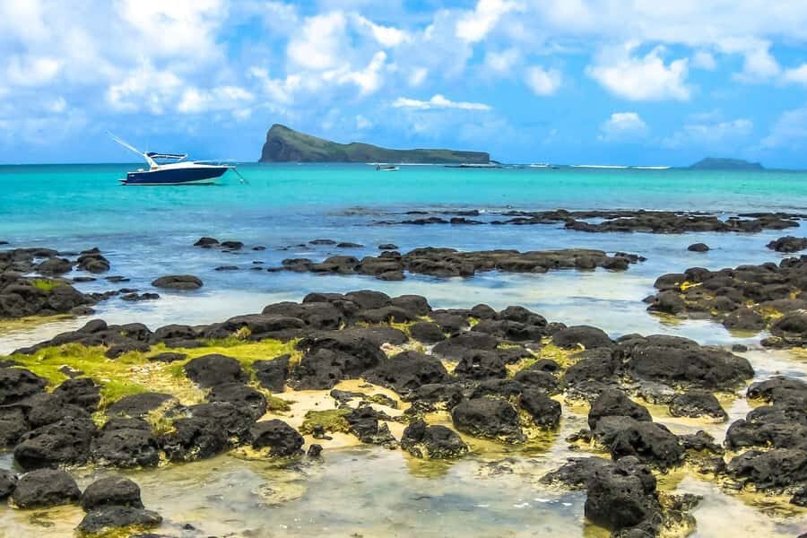North of Mauritius All inclusive Full day Tour with Lunch - Botanical Garden North: What You’ll See, and How to Read the Day