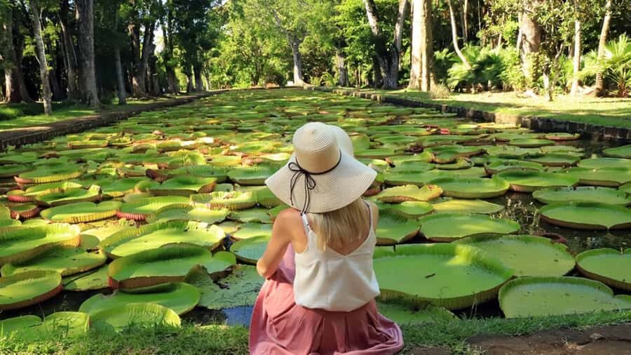 North Tour: Port Louis, Caudan, Citadelle, Botanical Garden - North Mauritius in One Day: a practical 8-hour loop