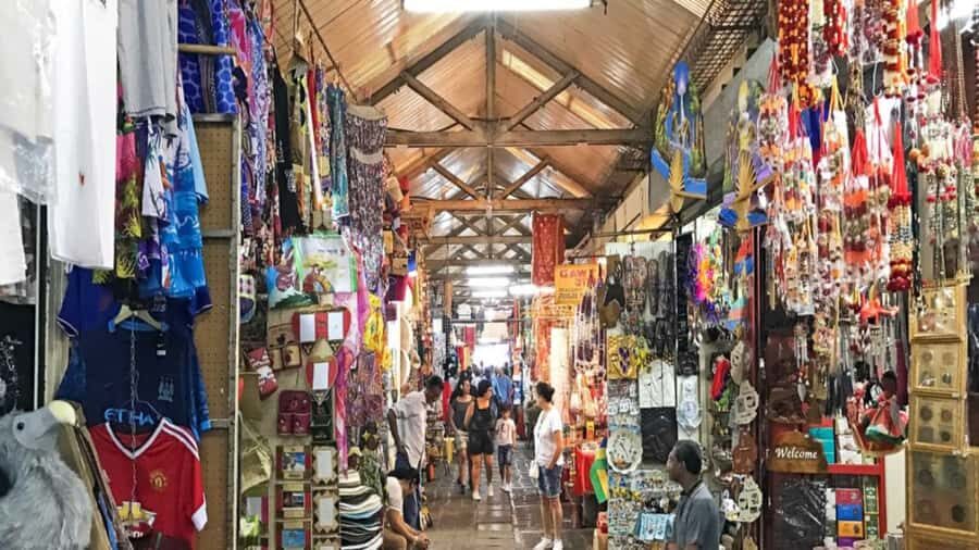 North Tour: Port Louis, Caudan, Citadelle, Botanical Garden - SSR Botanical Garden: the calm, guided walk that breaks up the day
